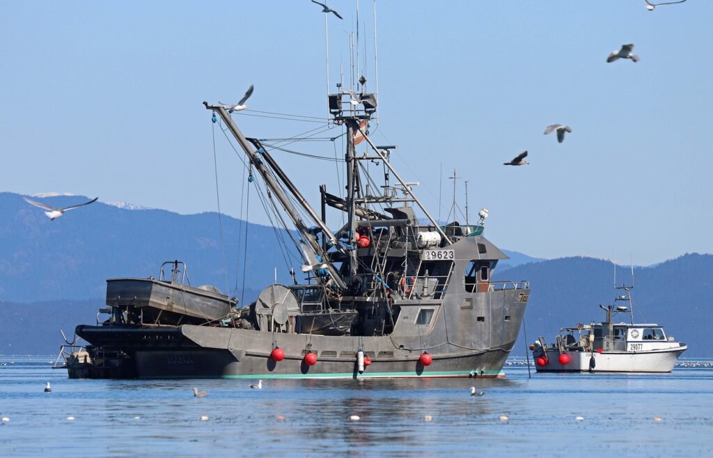 格安SIMと格安スマホの違いとは何ですか？