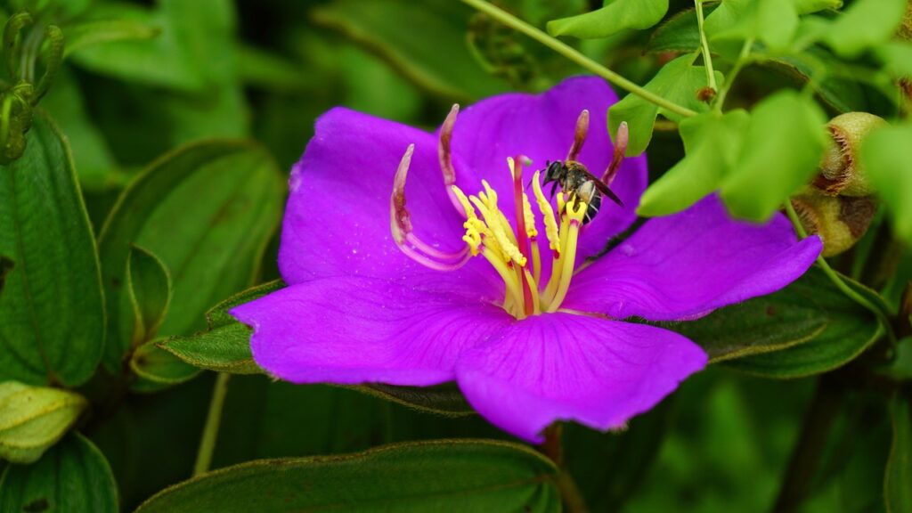 格安SIMへの他社乗り換えタイミングはいつがベスト？