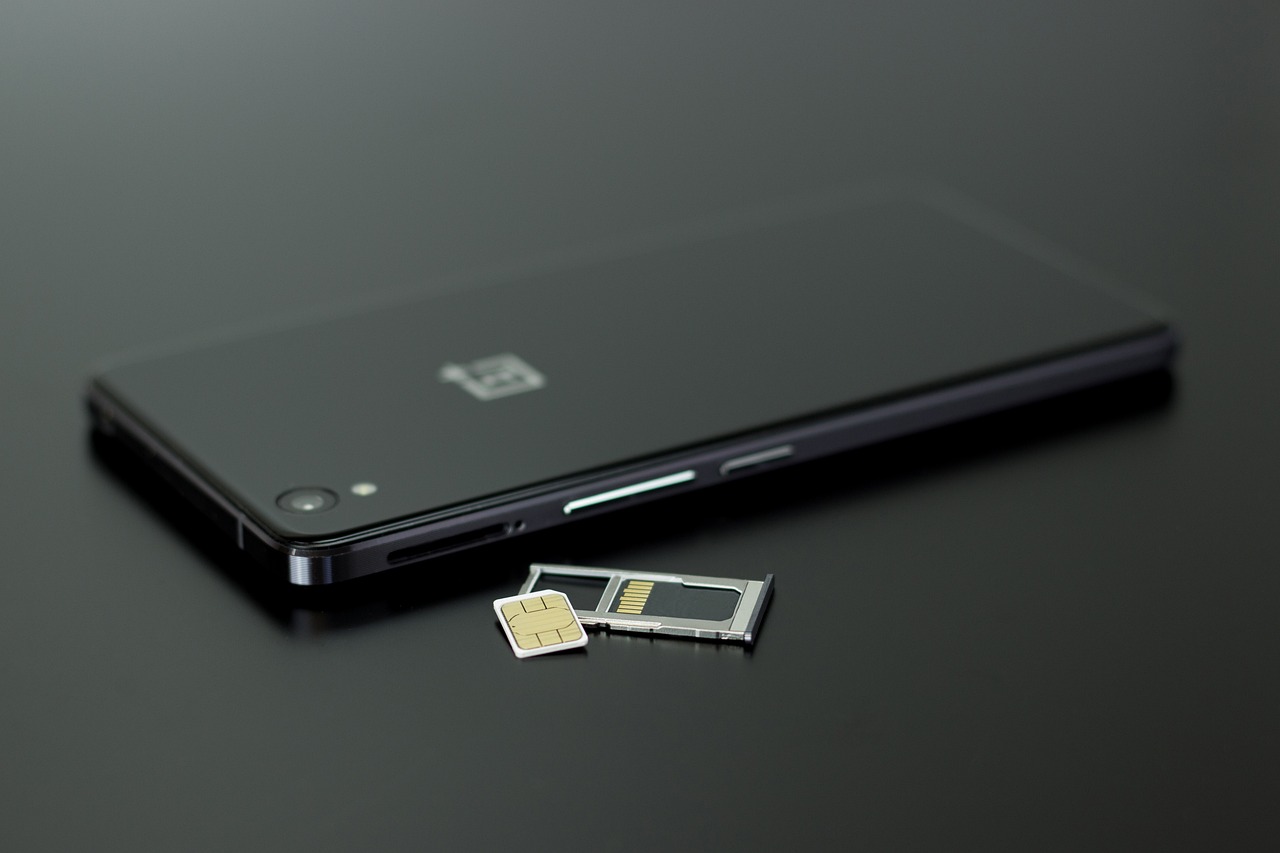 格安SIMを利用して実家暮らしでも節約する方法は？
