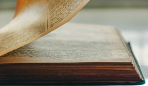 スマホ乗り換えはいつがいい？