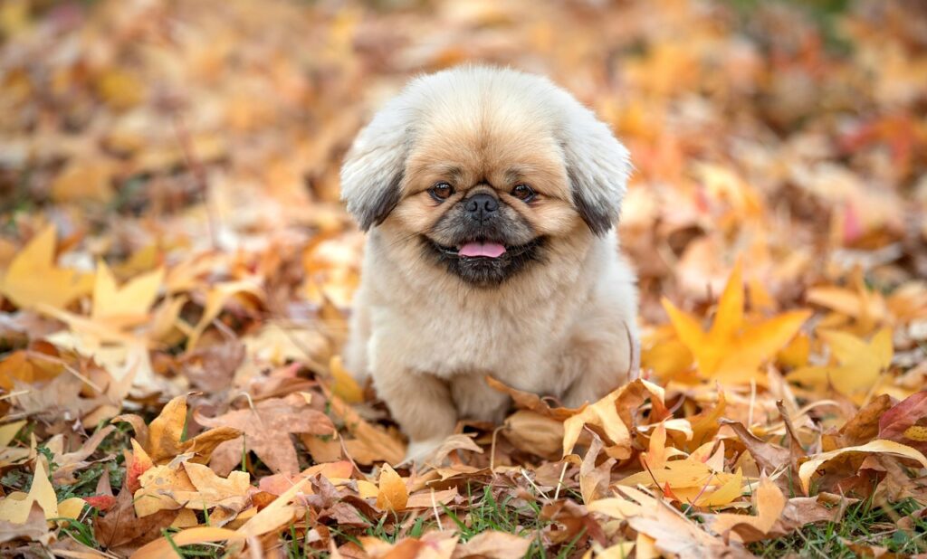 スマホ解約のベストなタイミングはいつですか？