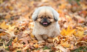 スマホ解約のベストなタイミングはいつですか？