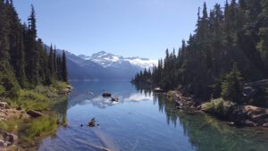 格安SIMのプラン選びで押さえておきたいコツは？