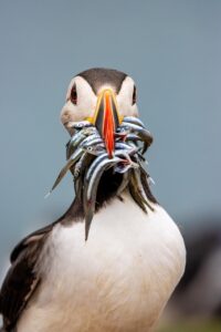 格安SIMの料金シミュレーションを行う方法は？