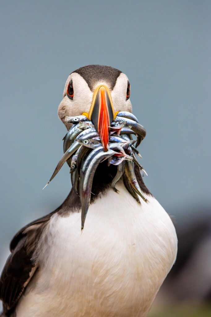 格安SIMの料金シミュレーションを行う方法は？