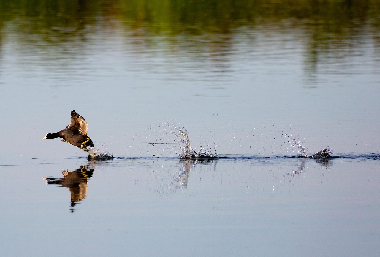 格安SIMのプラン比較表一覧で選ぶべきおすすめは？