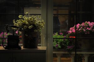 mineoの速度が遅い原因と改善方法は？