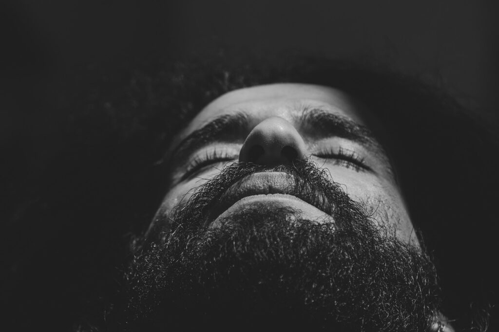 irumoとpovoの比較で知っておくべきポイントは？