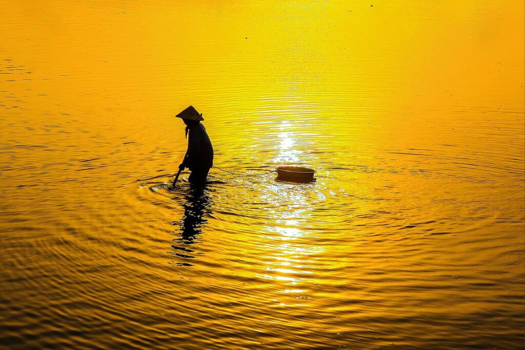 mineoのパケット放題はどれほど便利なのか？