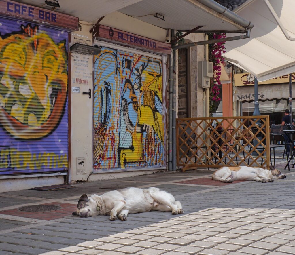 格安SIMを利用する昼休みの遅い時間帯の対策は？