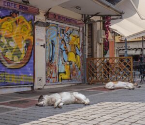 格安SIMを利用する昼休みの遅い時間帯の対策は？