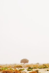 mineoのパケット放題プラスは速度が遅いと評判ですが、実際のところどうなの？