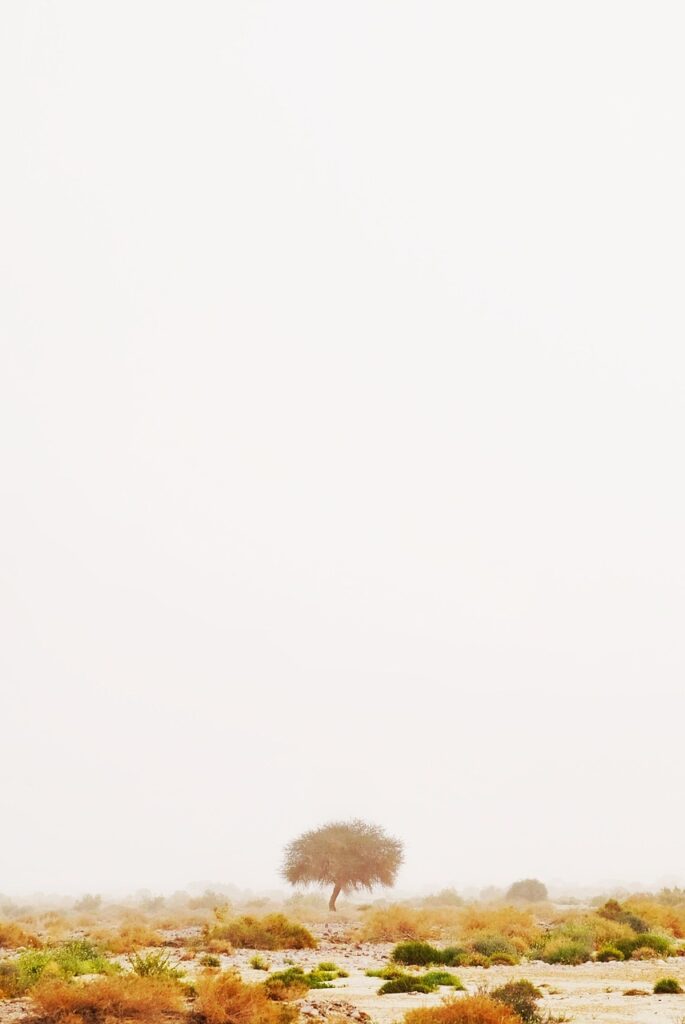 mineoのパケット放題プラスは速度が遅いと評判ですが、実際のところどうなの？